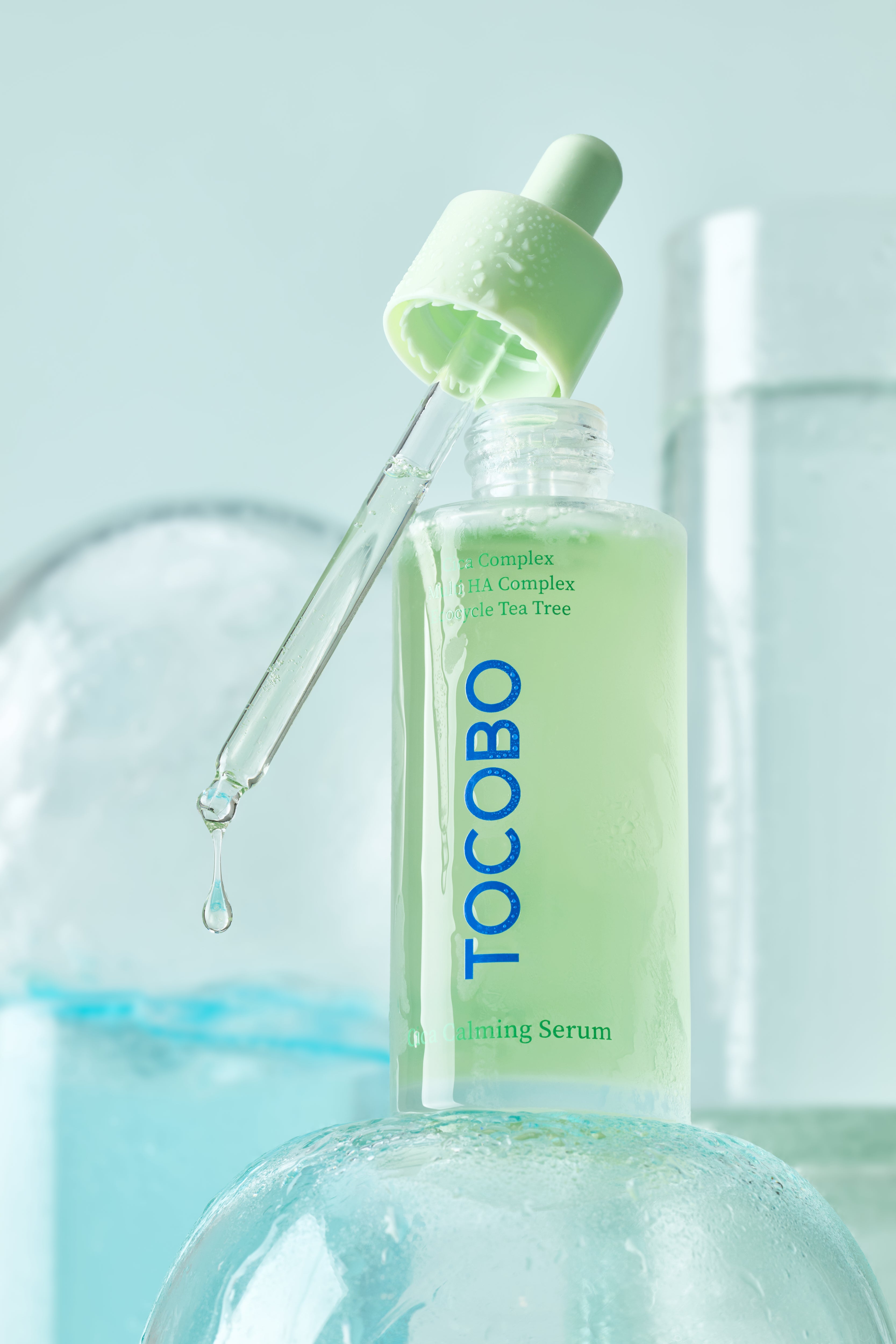 TOCOBO_CCS_0975-e_1.jpg